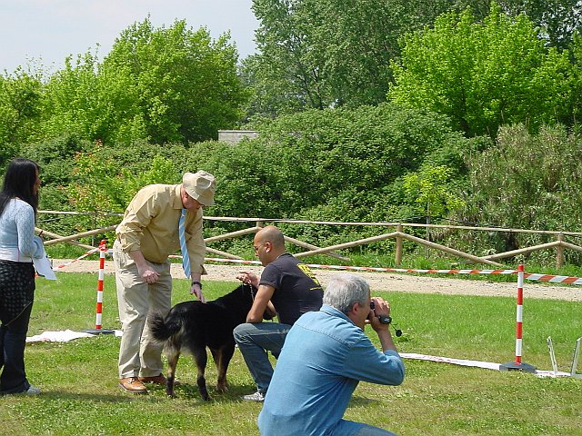 Immagine 071.jpg